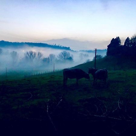 Fattoria Lucciano Villa Borghetto  ภายนอก รูปภาพ