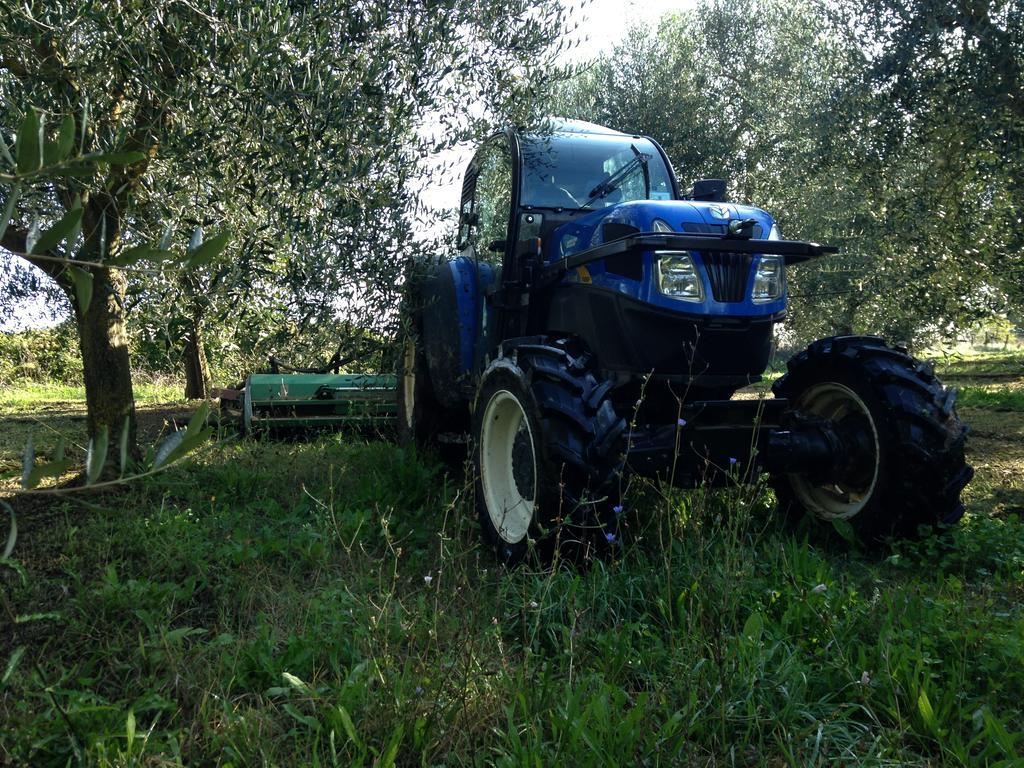 Fattoria Lucciano Villa Borghetto  ภายนอก รูปภาพ