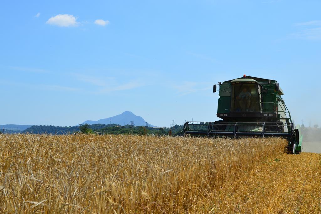 Fattoria Lucciano Villa Borghetto  ภายนอก รูปภาพ