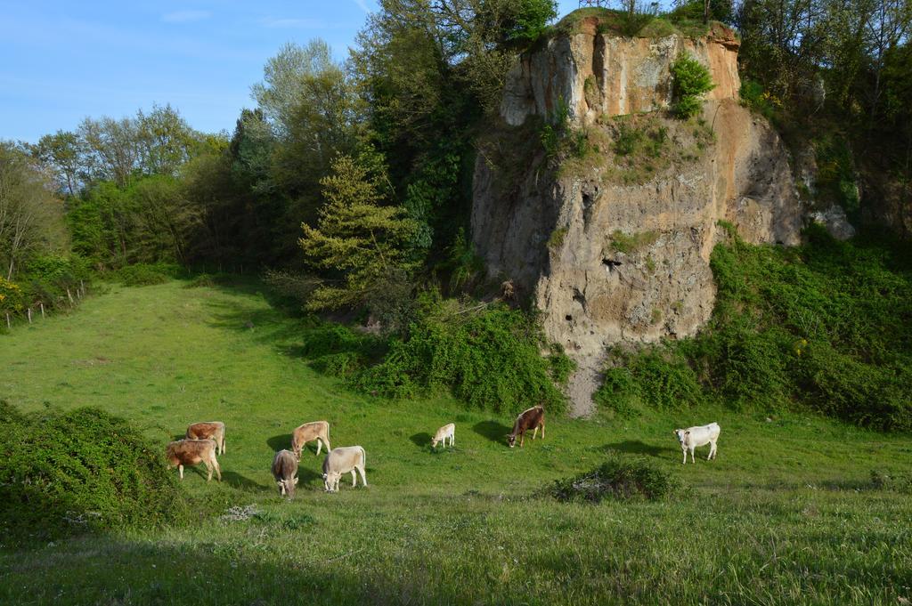 Fattoria Lucciano Villa Borghetto  ภายนอก รูปภาพ