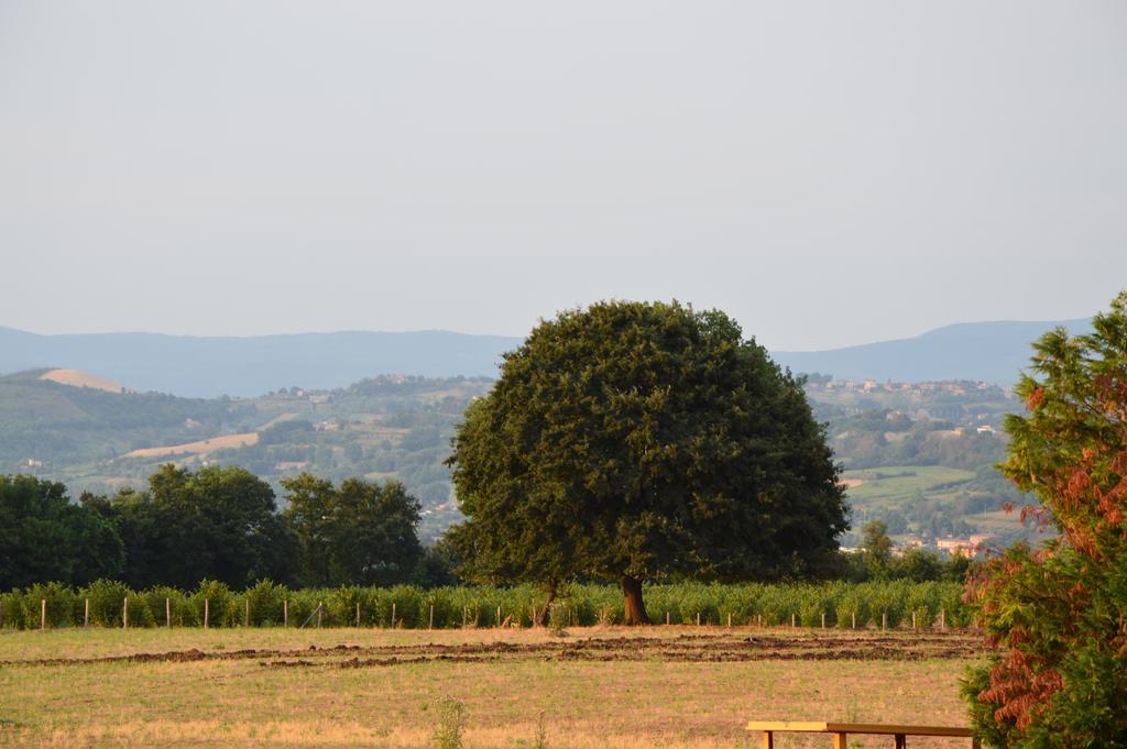 Fattoria Lucciano Villa Borghetto  ห้อง รูปภาพ