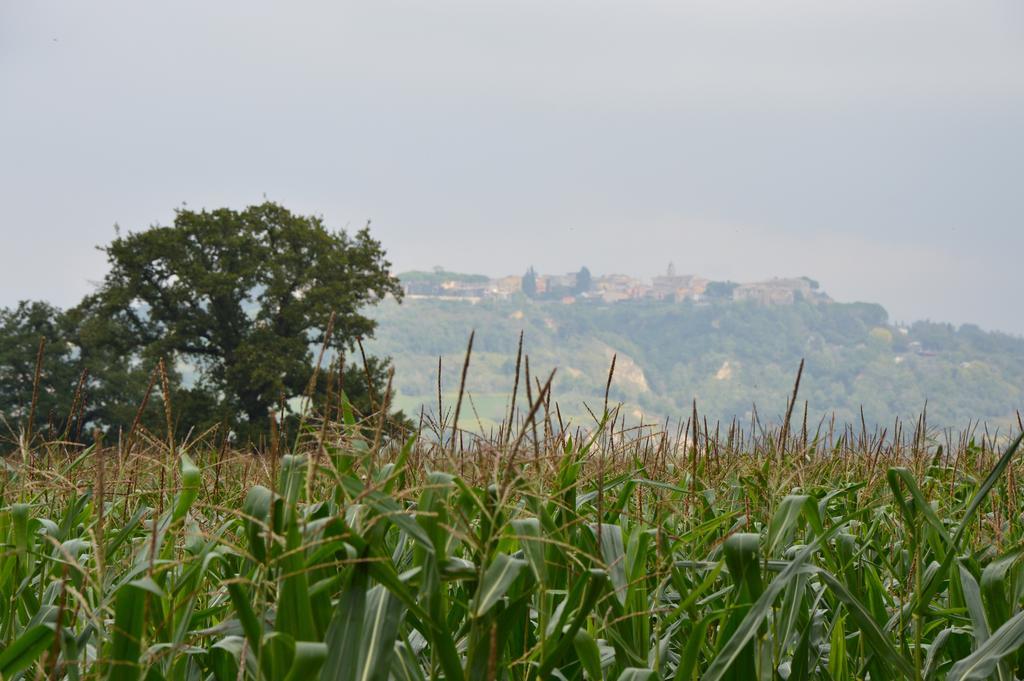 Fattoria Lucciano Villa Borghetto  ภายนอก รูปภาพ