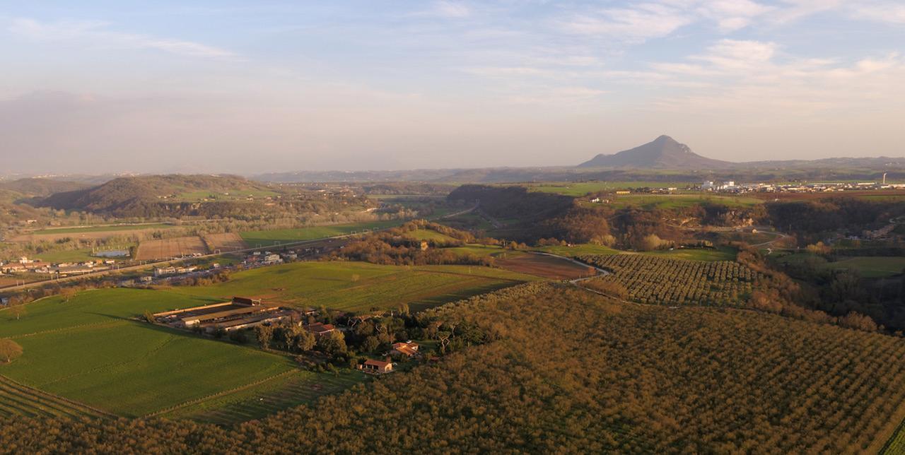 Fattoria Lucciano Villa Borghetto  ภายนอก รูปภาพ
