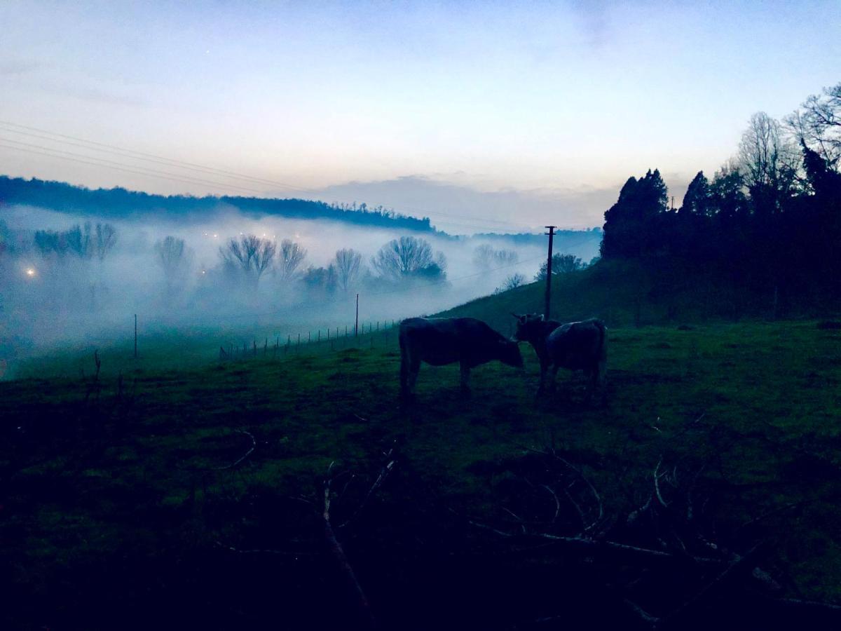 Fattoria Lucciano Villa Borghetto  ภายนอก รูปภาพ