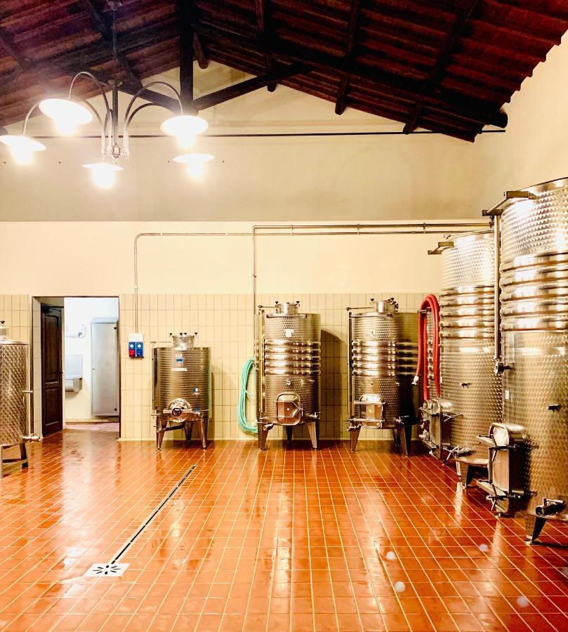 Fattoria Lucciano Villa Borghetto  ภายนอก รูปภาพ